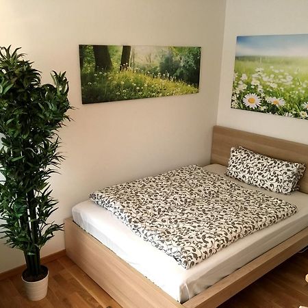 Apartment Flowerside เรเกนส์บวร์ก ภายนอก รูปภาพ