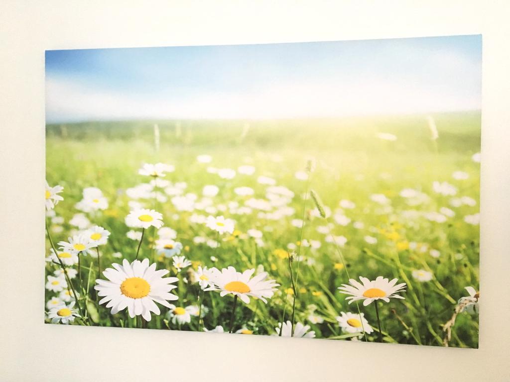 Apartment Flowerside เรเกนส์บวร์ก ภายนอก รูปภาพ