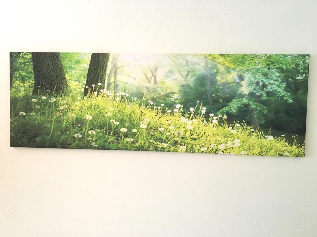 Apartment Flowerside เรเกนส์บวร์ก ภายนอก รูปภาพ