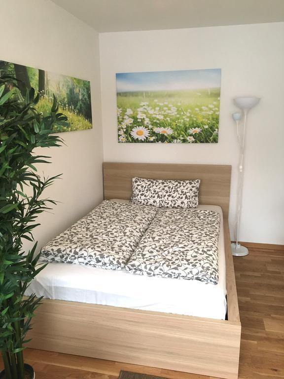 Apartment Flowerside เรเกนส์บวร์ก ภายนอก รูปภาพ